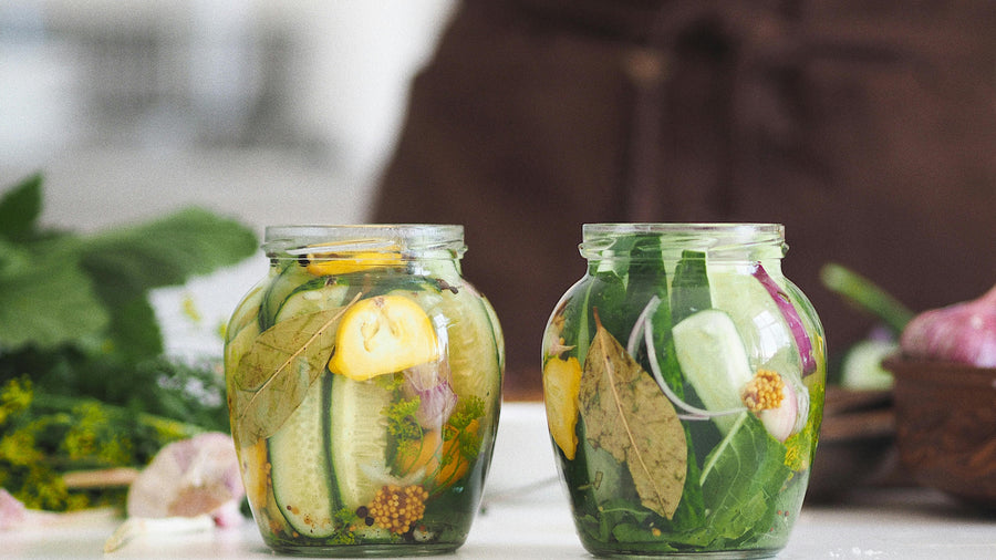 Research Thumbnail for Probiotics for Menopause: How Your Gut Affects Your Hormones
